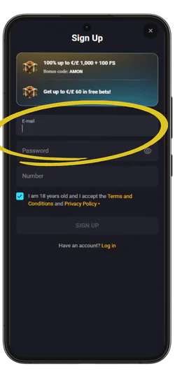 AmonBet email address and password