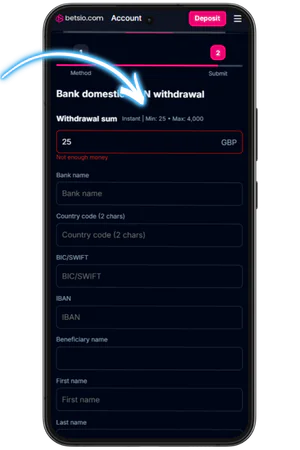 Filling in the data for output Betsio Casino